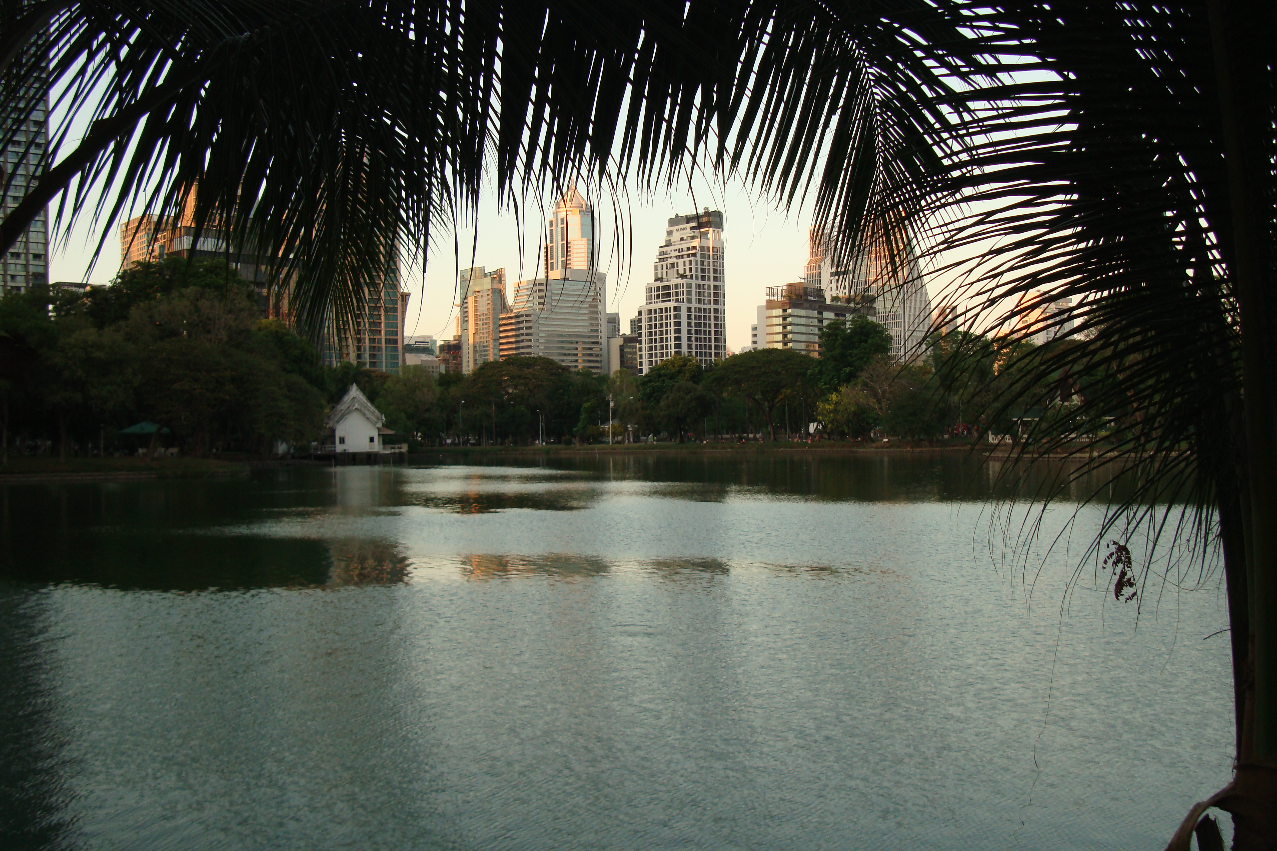 Featured image of post Surgery Diaries 2: One Month of Joy